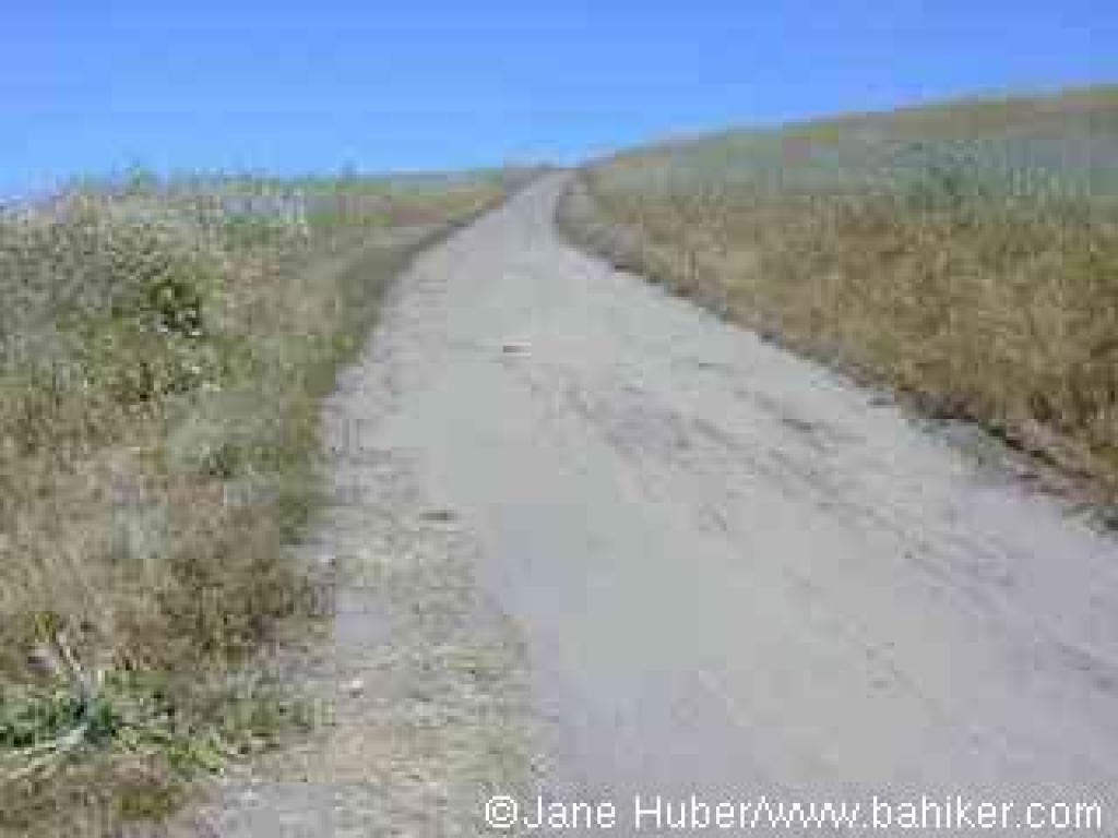Wilder Ridge Loop Trail