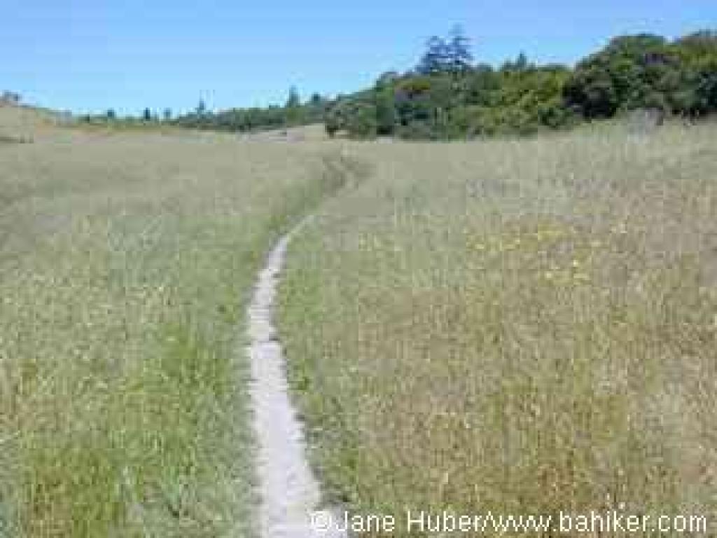 Twin Oaks Trail