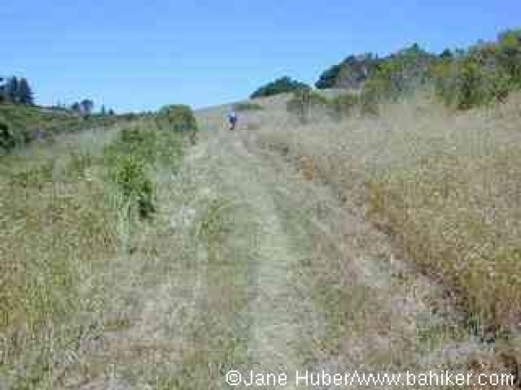 Eucalyptus Loop Trail