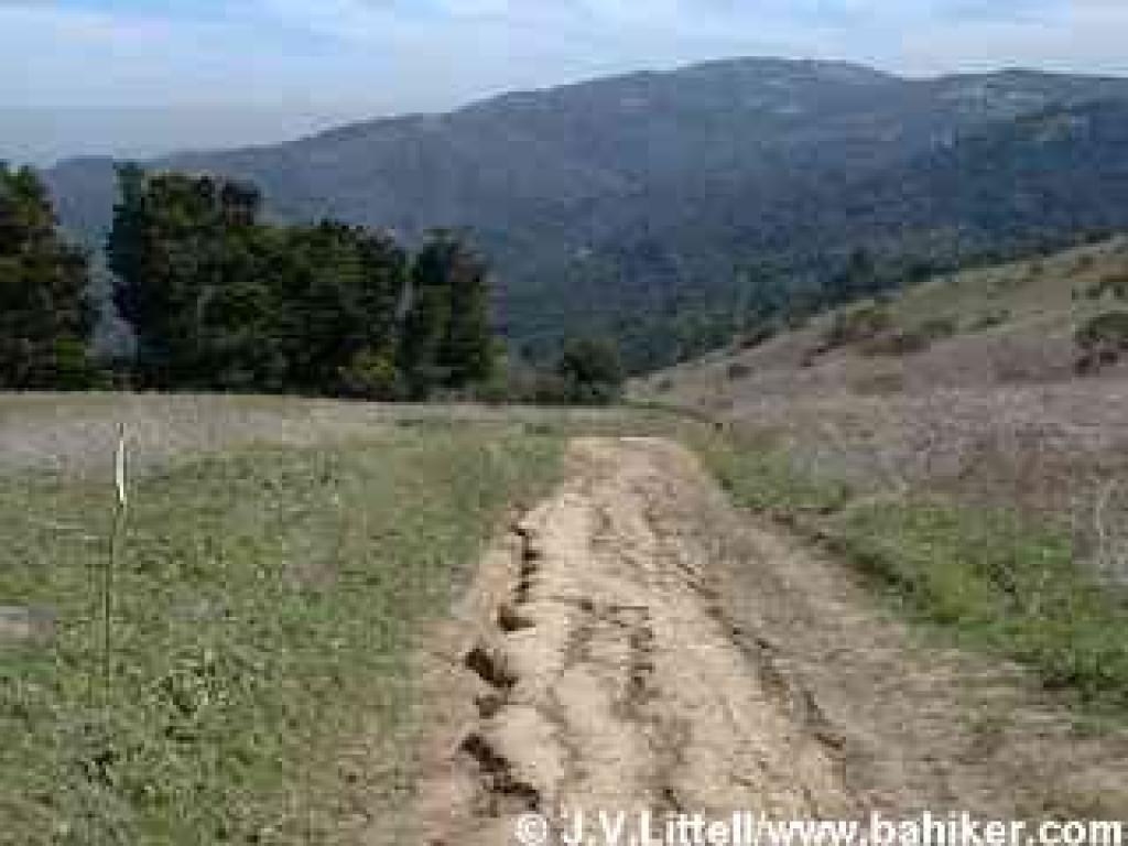 Spring Ridge Trail