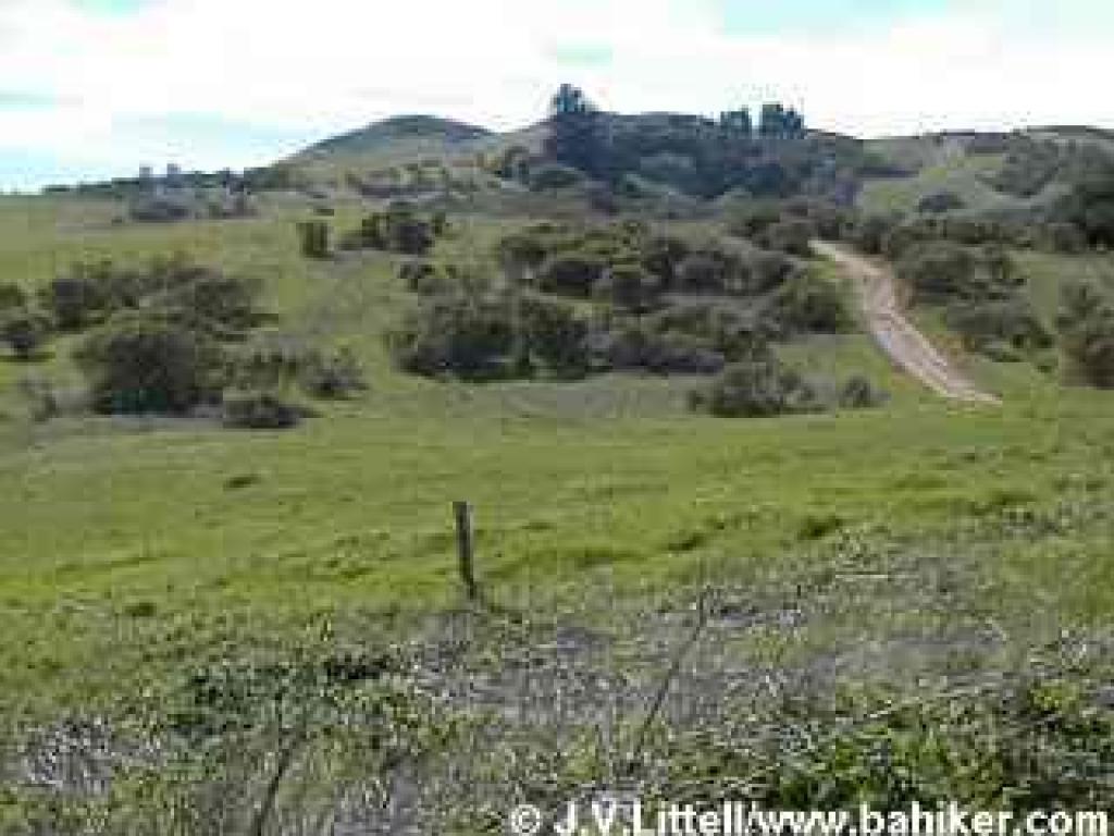 A view back uphill on Spring Ridge Trail