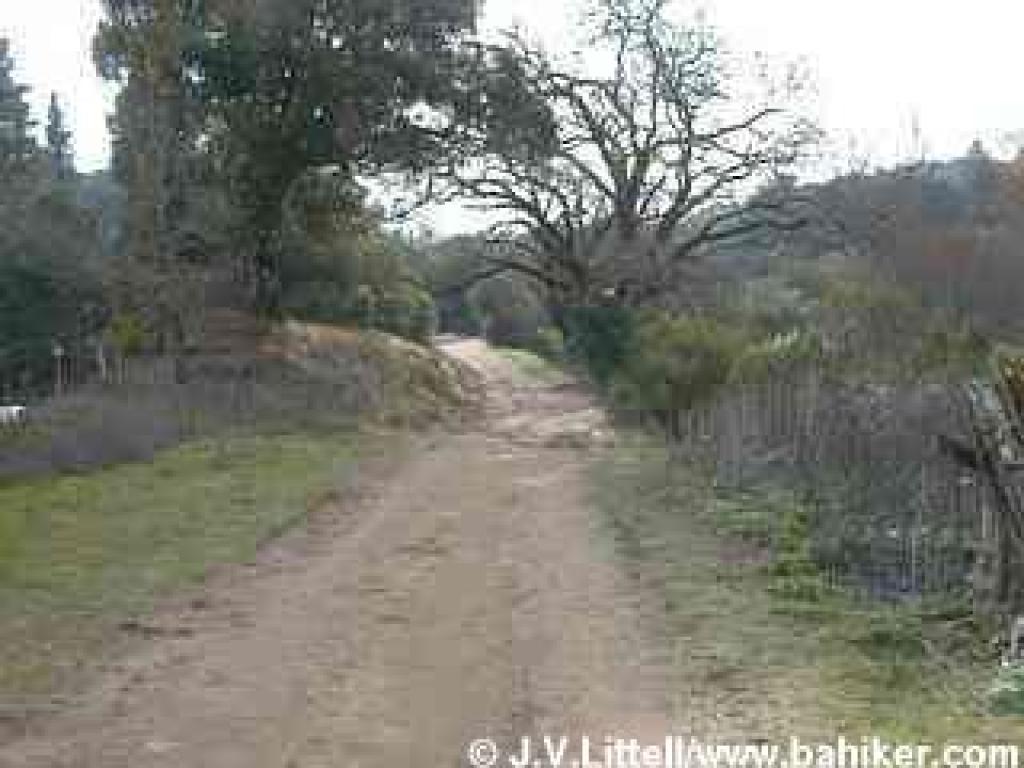 Trail along Sausal Pond