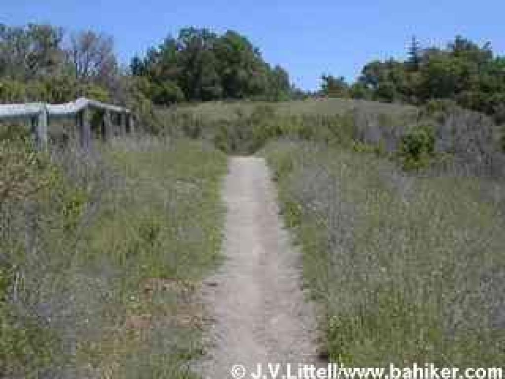 Photo of Bear Gulch Trail