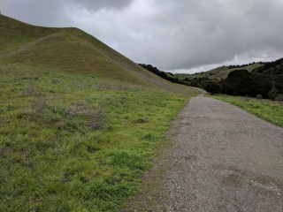 Bay Area Hiker: Bear Creek Staging Area, Briones Regional Park