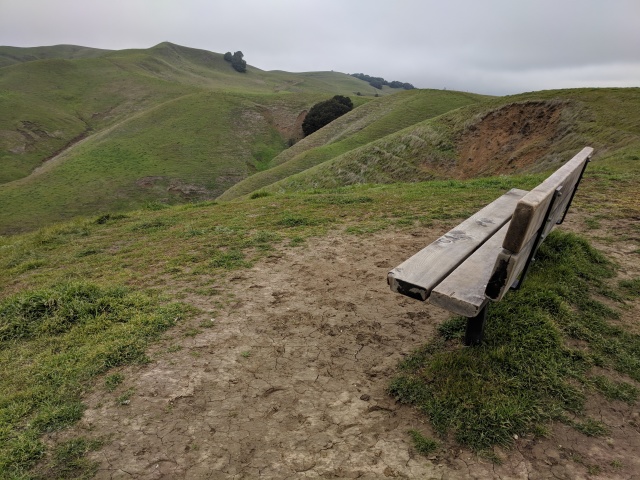 Bay Area Hiker: Bear Creek Staging Area, Briones Regional Park