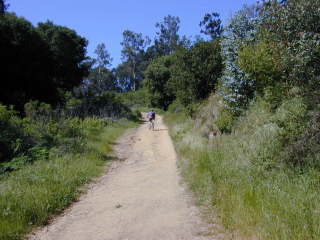 Bay Area Hiker: Bort Meadow Trailhead, Anthony Chabot Regional Park