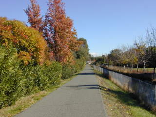 Autumn foliage along the trail