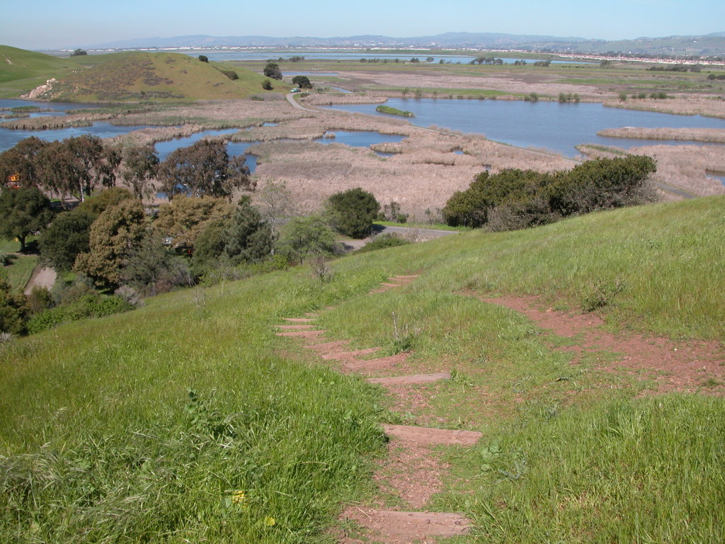 Descending back to the trailhead