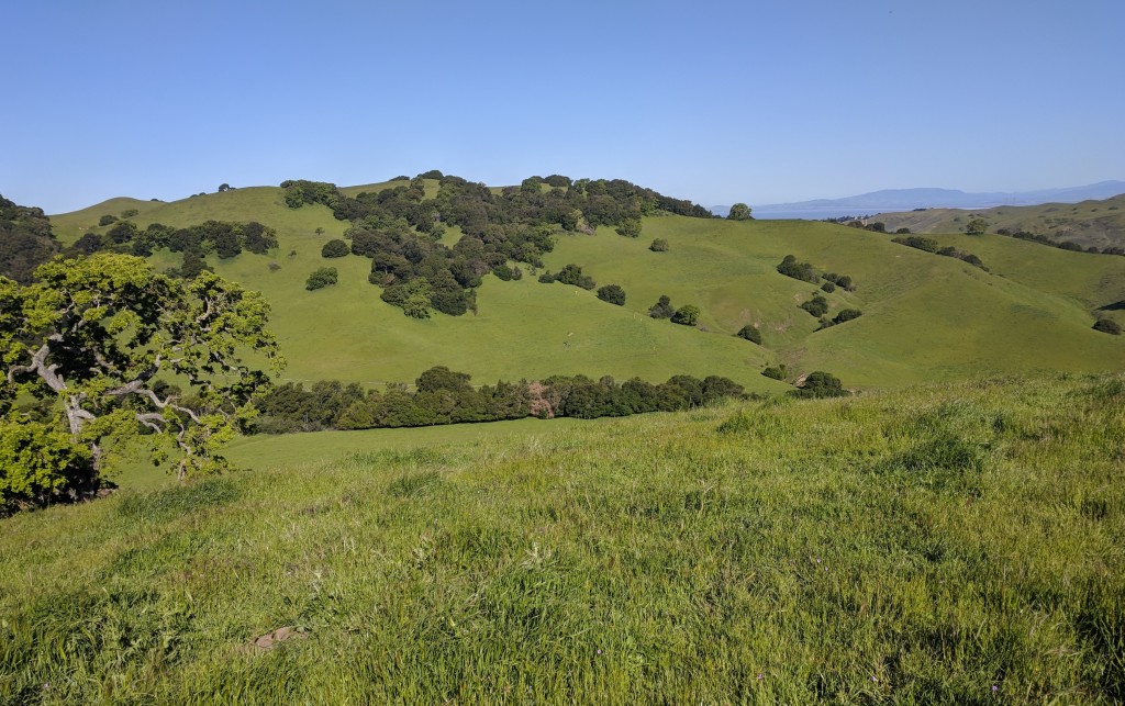 View north