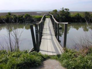 Bay Area Hiker: Grizzly Island Wildlife Area