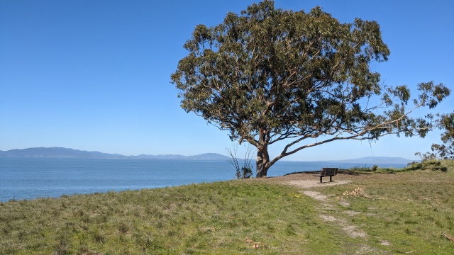 Dynamite Point Pinole Bench and view
