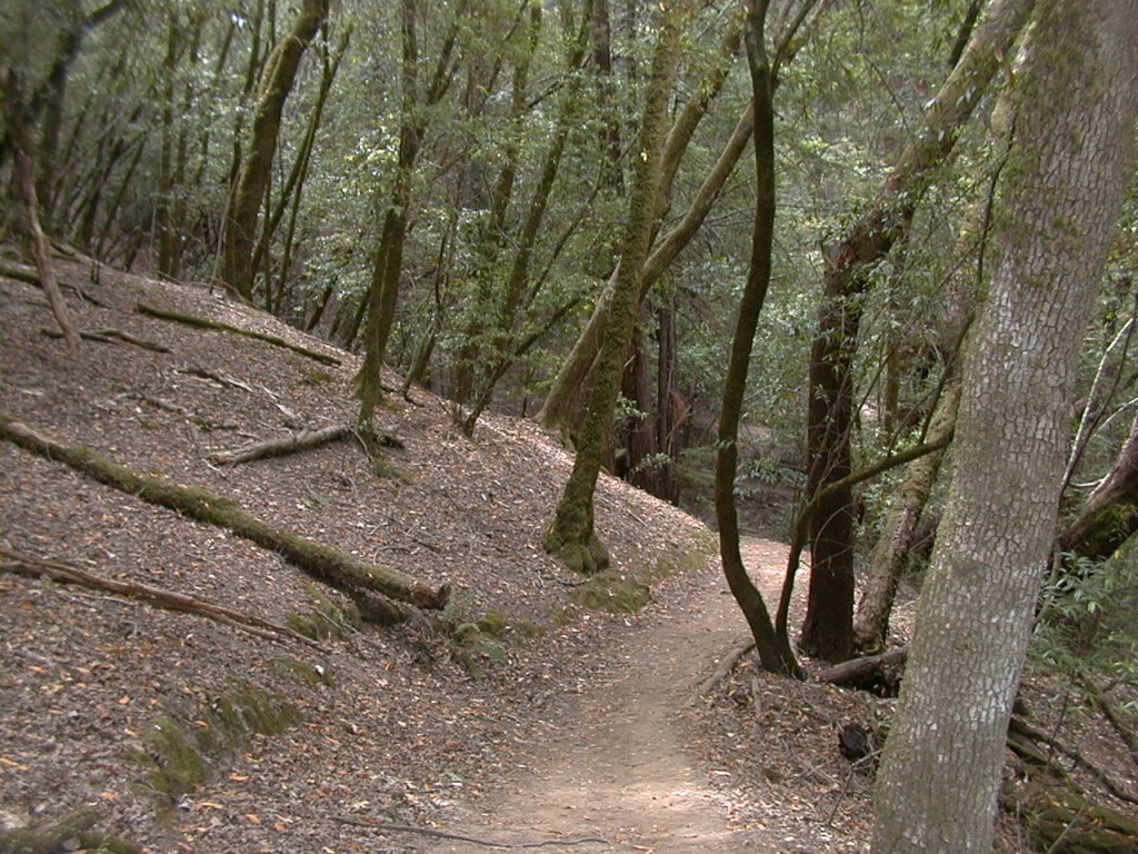 Descending