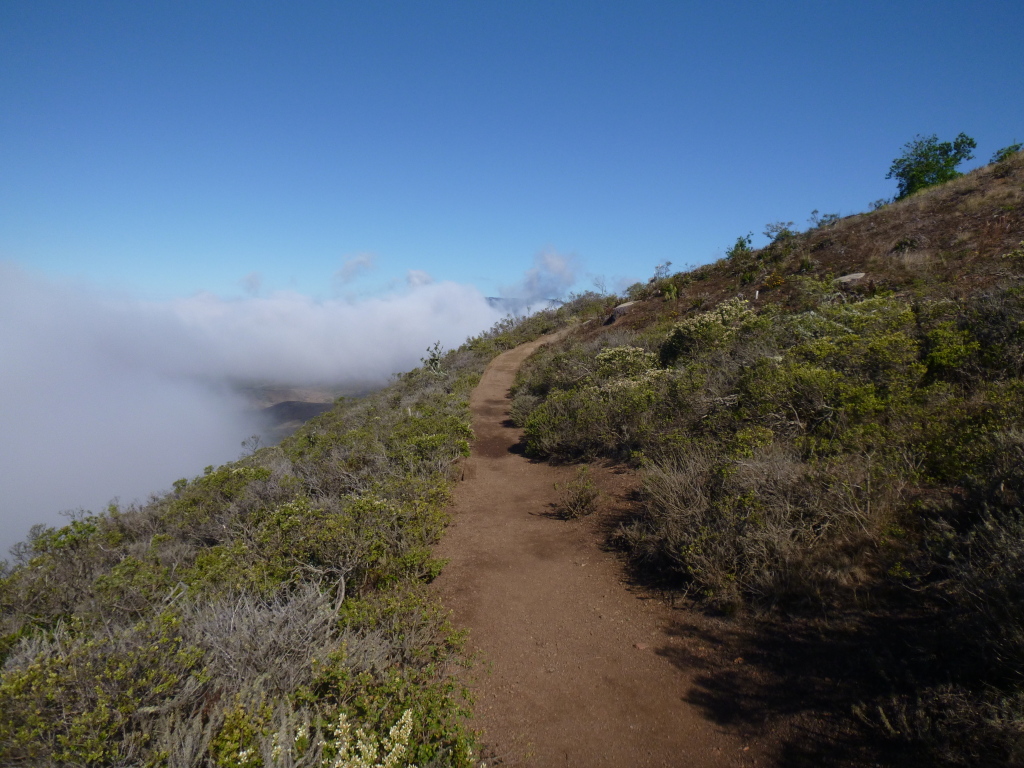 hawkhill trail