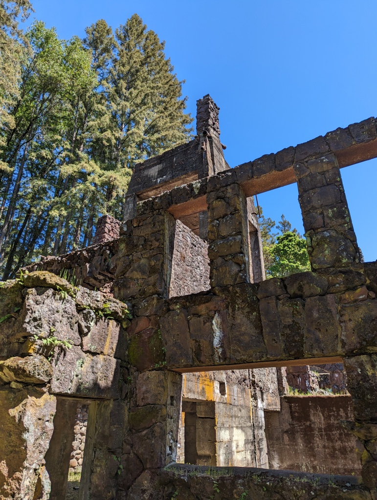 端渓 メタセコイア並木🌲 | マキノピックランド