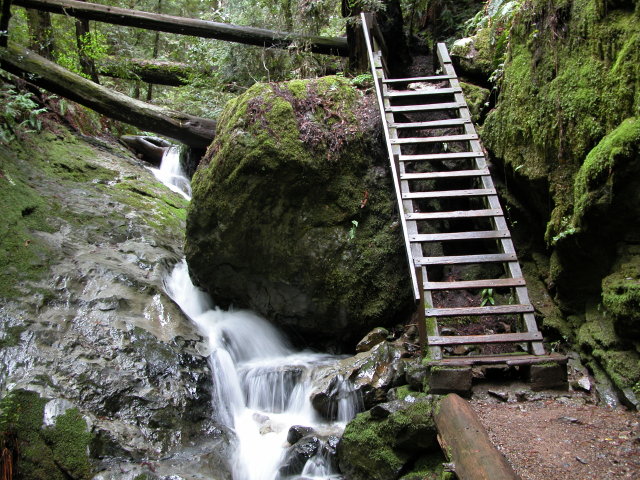 Bay Area Hiker: Matt Davis-Steep Ravine Loop