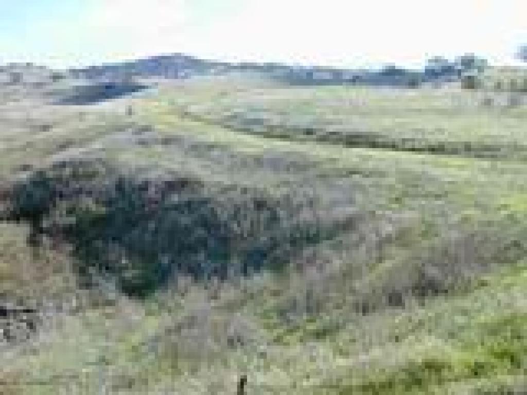 Hills of Lime Ridge