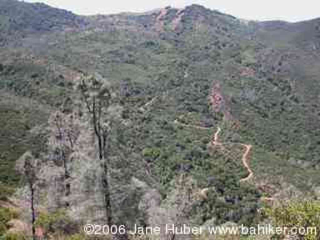 View to Mitchell Canyon Fire Road from Eagle Peak