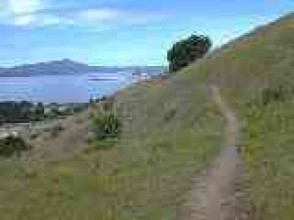 Marine View Trail