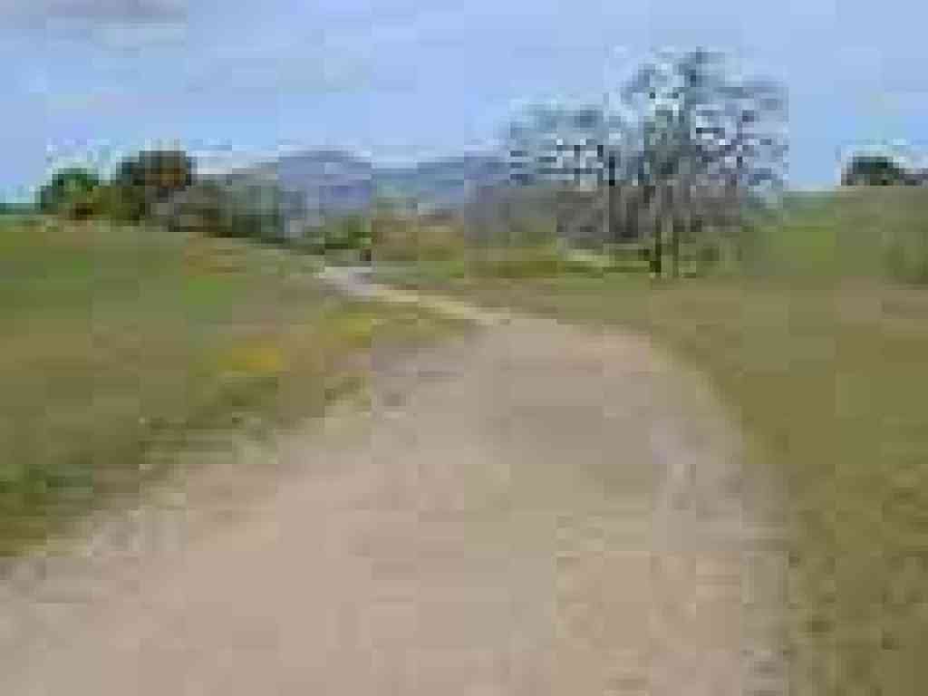Blue Oak Trail