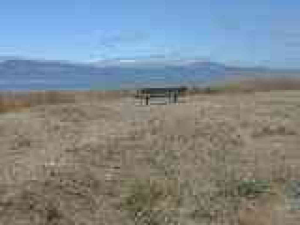 Bench and view