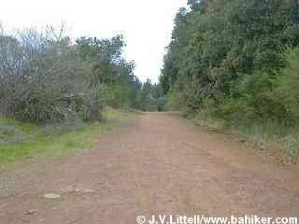 West Ridge Trail