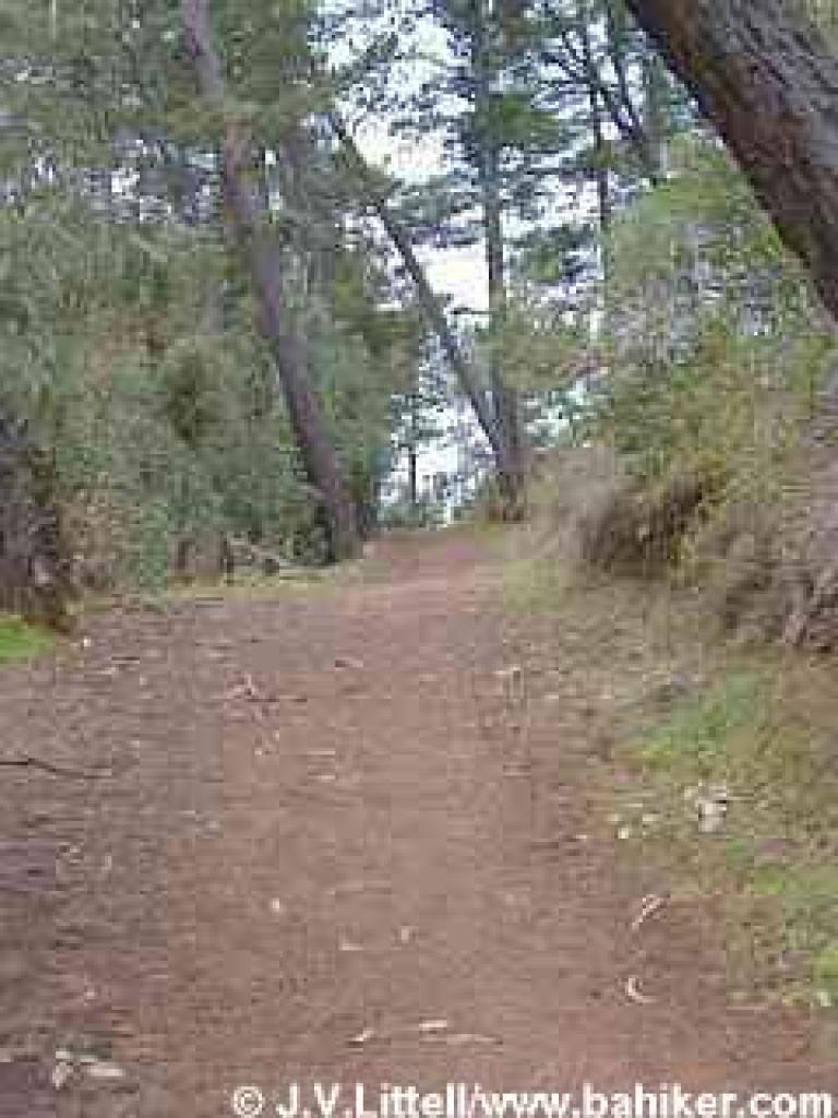 Climbing to West Ridge Trail