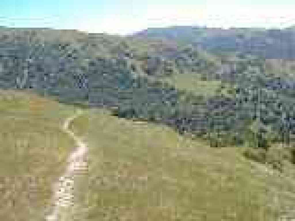 Flag Hill Trail