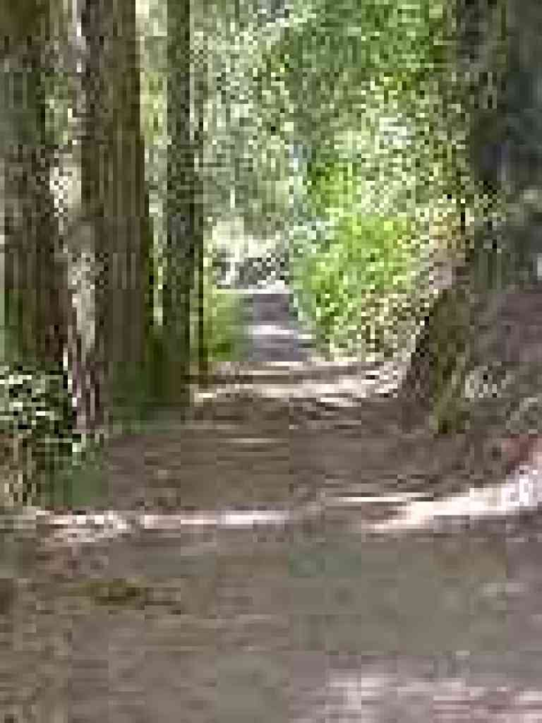 Ritchey Creek Trail