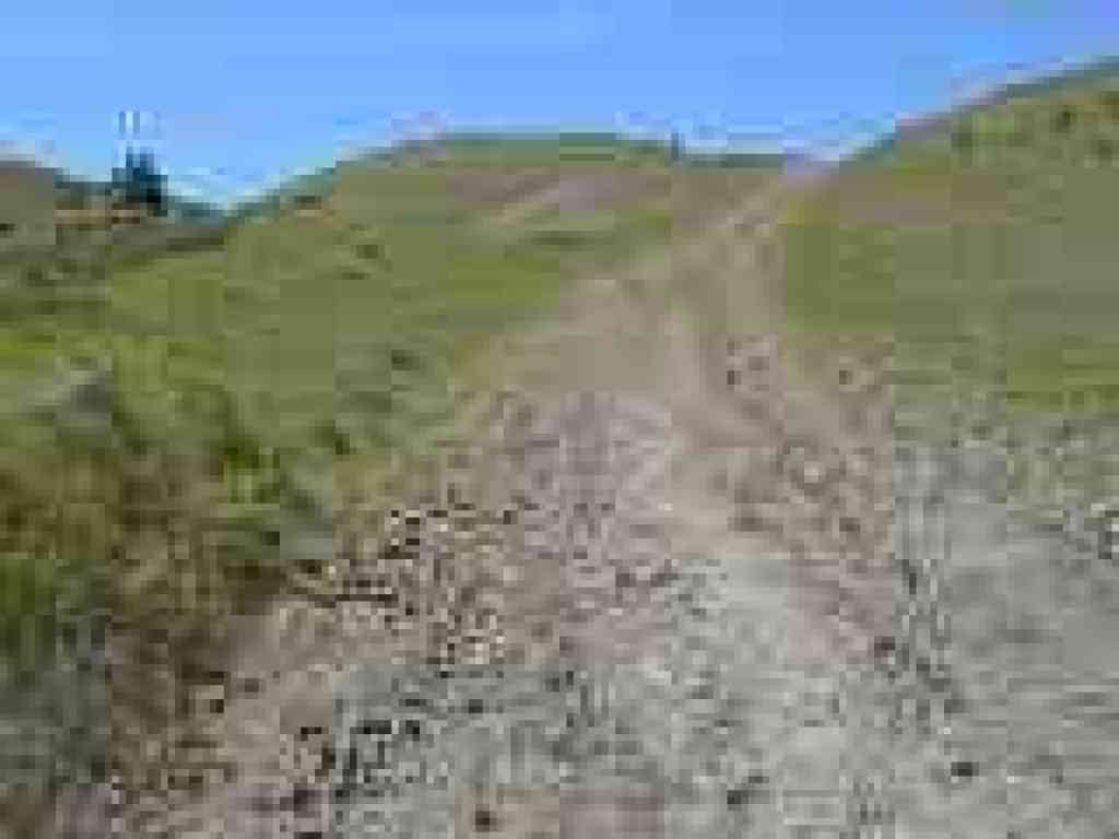 Rutted section