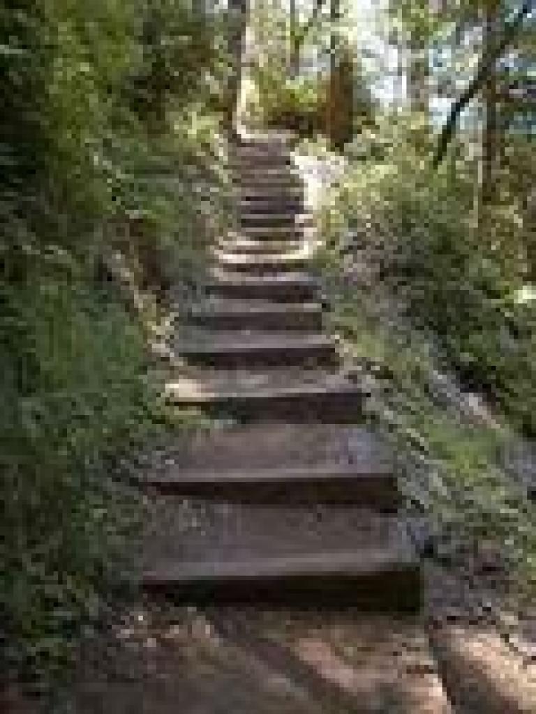 Some of the over 250 steps on Lost Trail