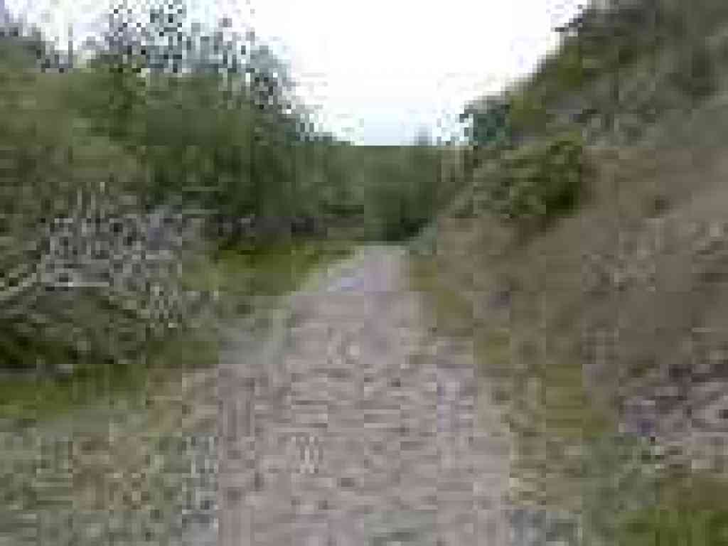 Muddy Hollow Trail