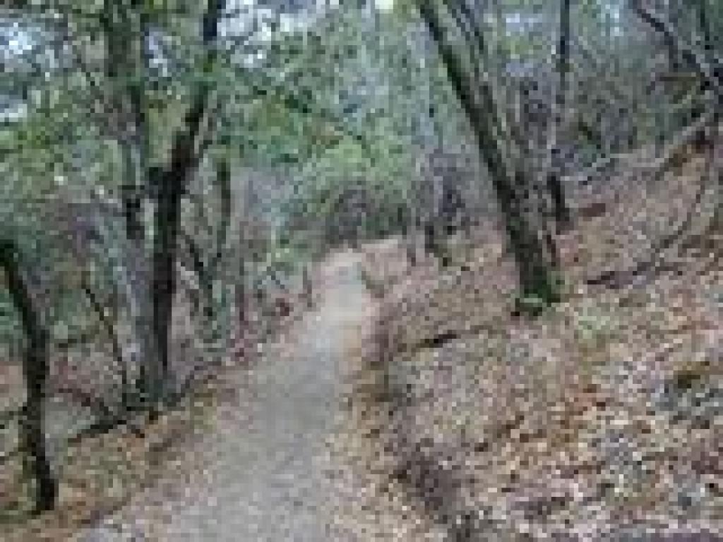 Well graded trail