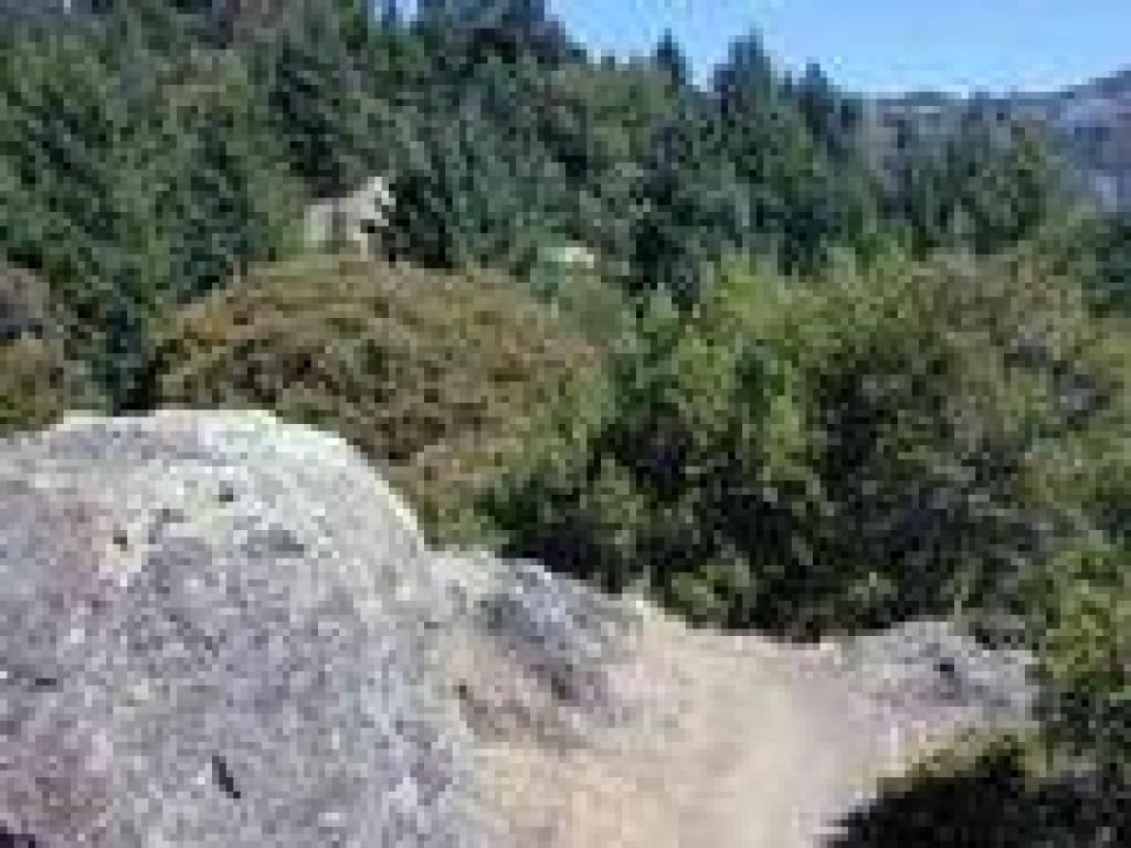 Trail curves left at a boulder
