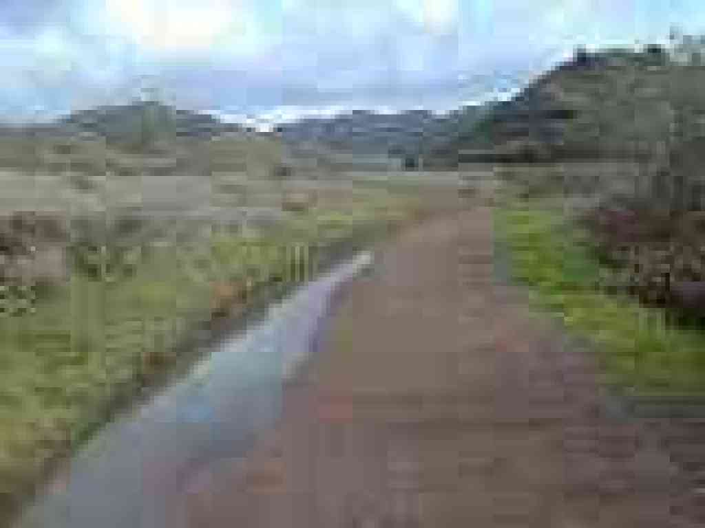 Miwok Trail