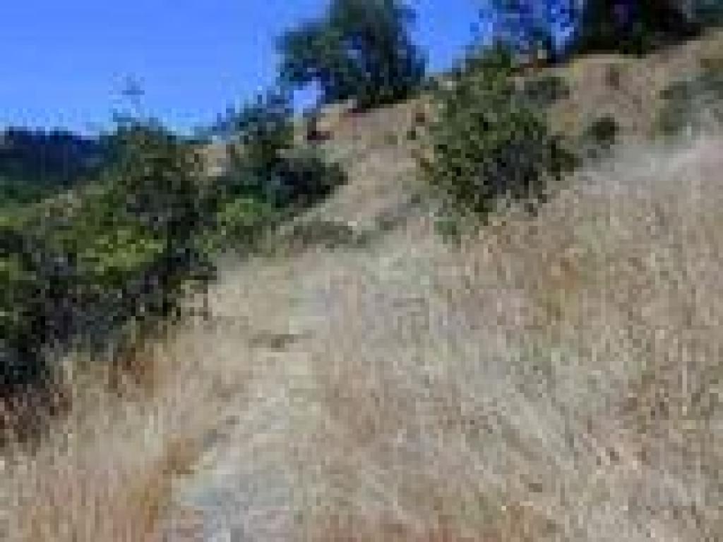 Thorner Ridge Trail