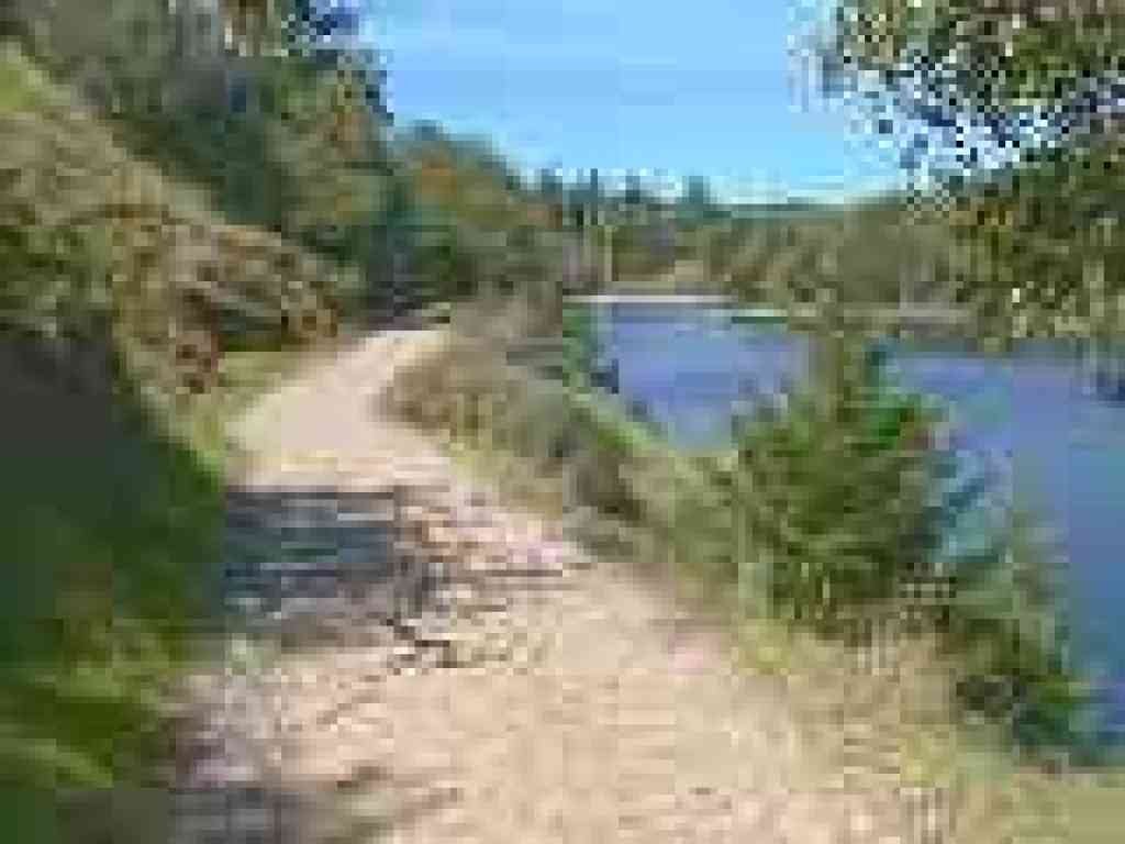 Trail around Lake Lagunitas
