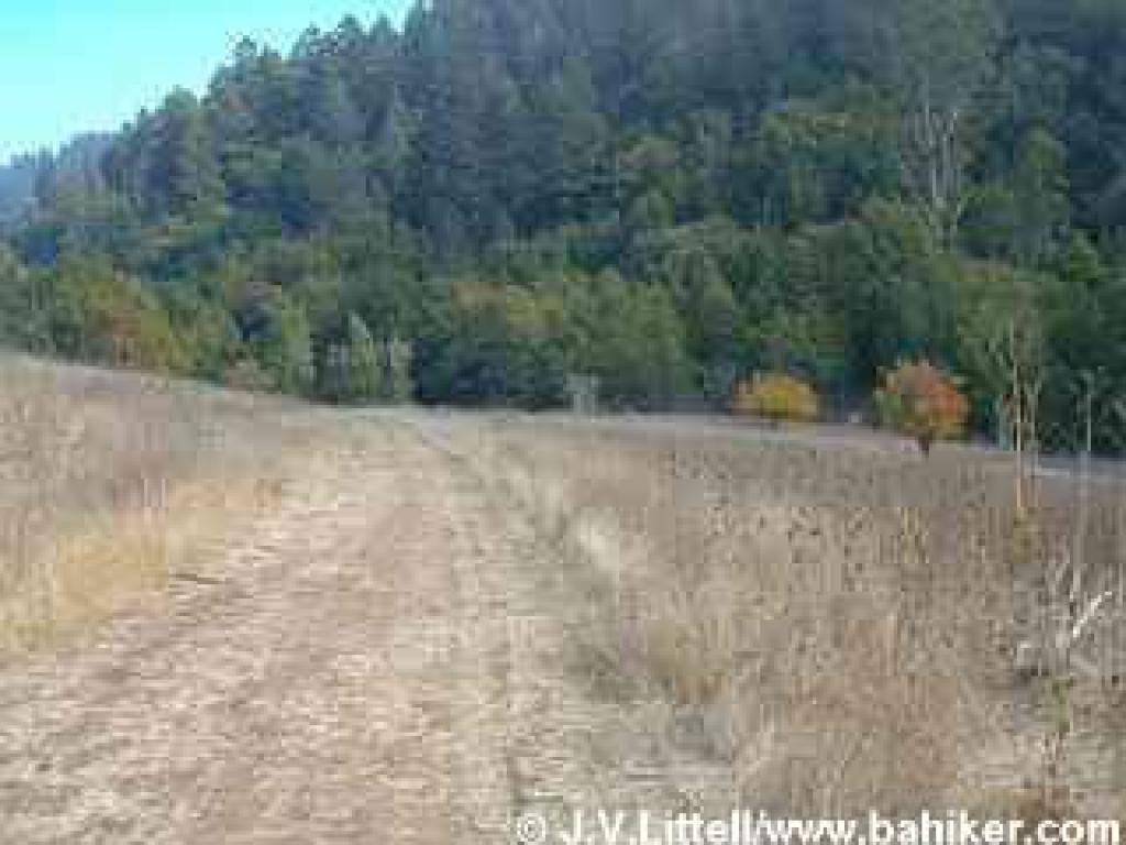 Devil's Gulch Trail