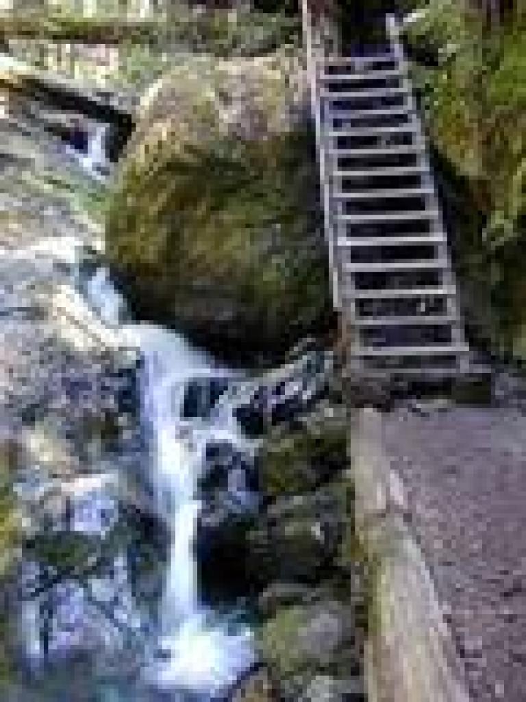 Ladder and falls
