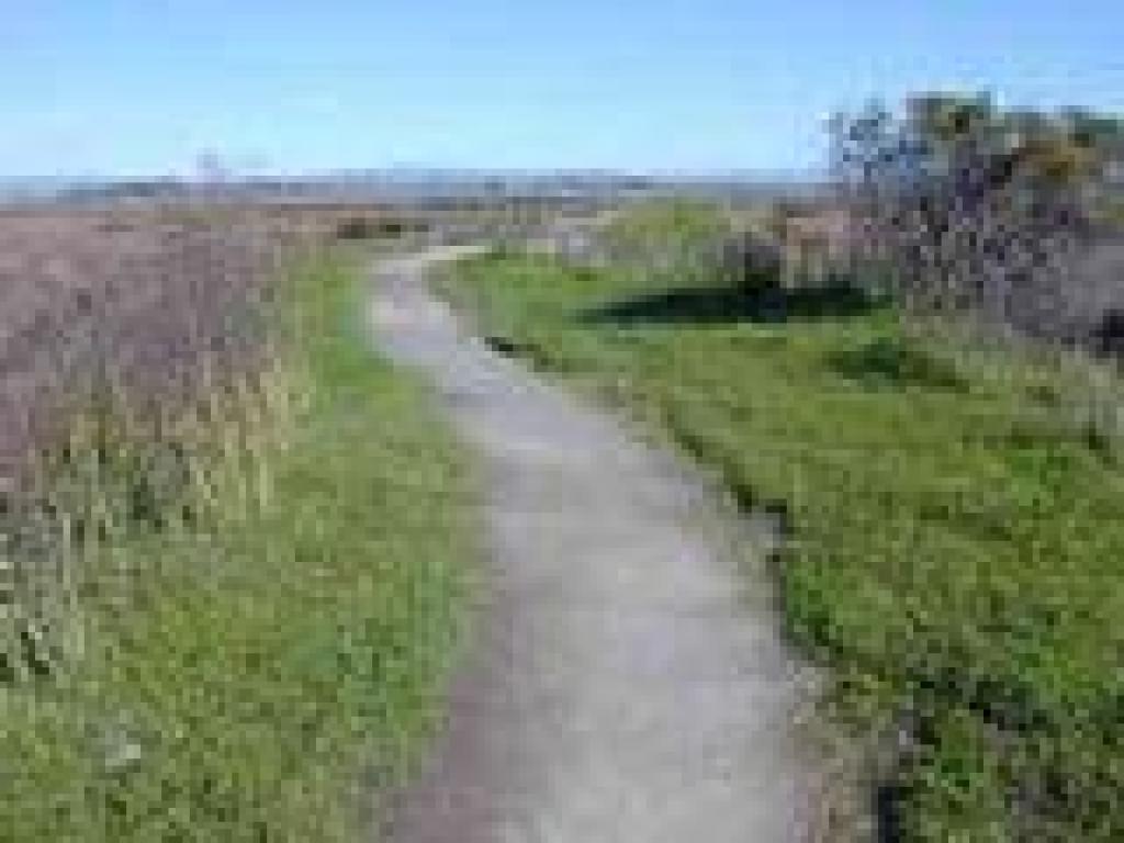 Levee trail