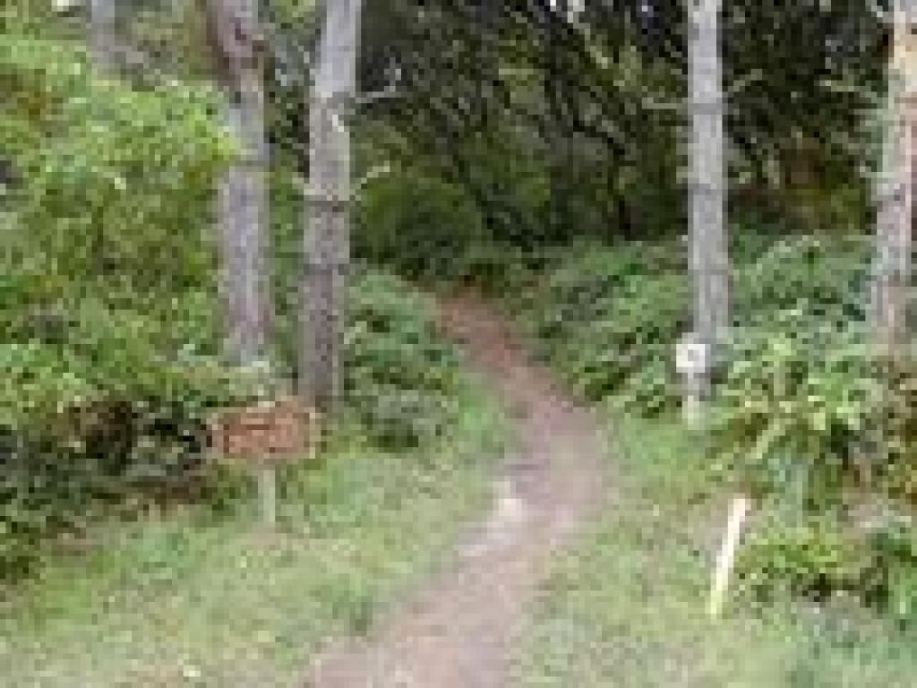 Start of Jepson Trail
