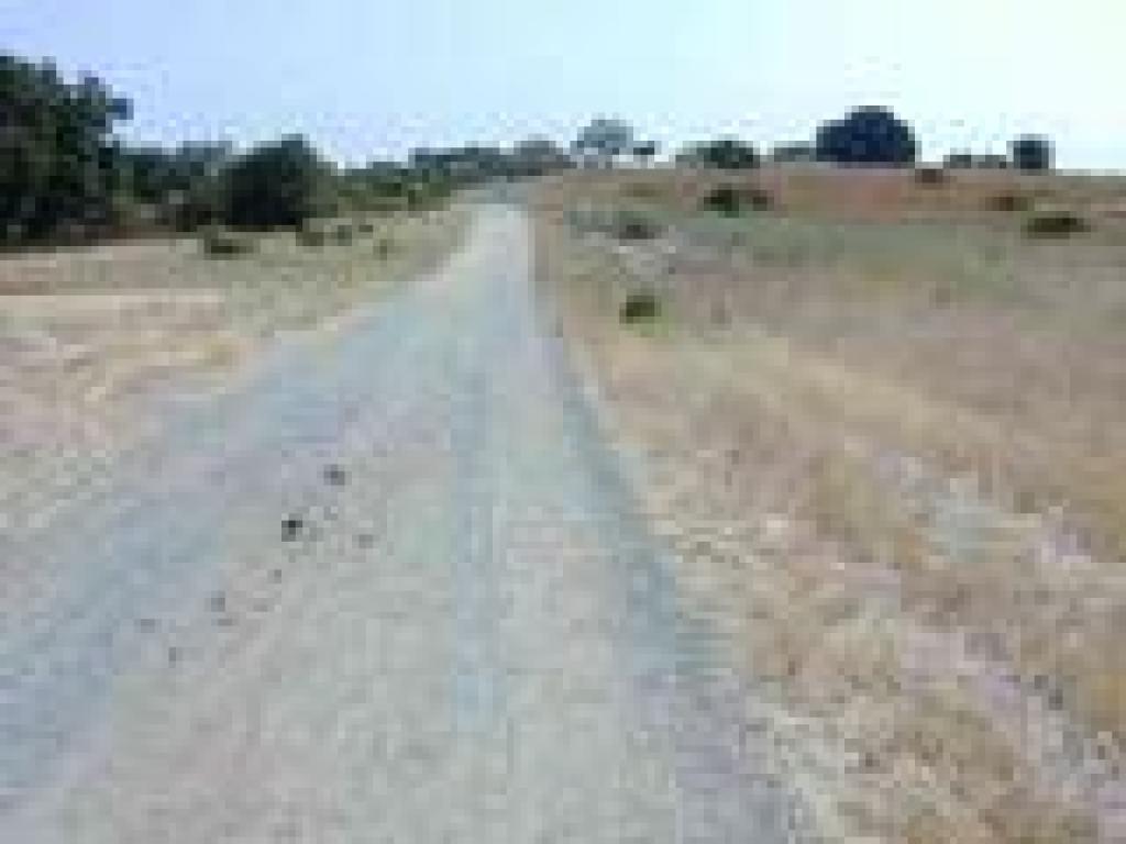 Meadowlark Trail
