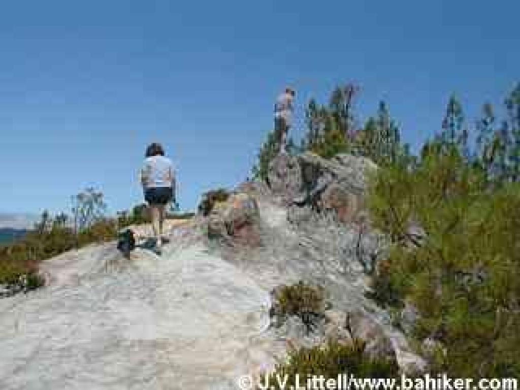 Hikers on Buzzard's Roost, Big Basin State Park