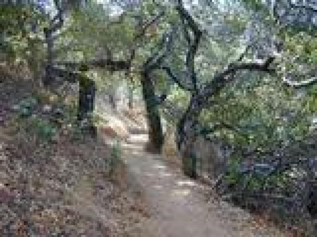 Eaton Trail