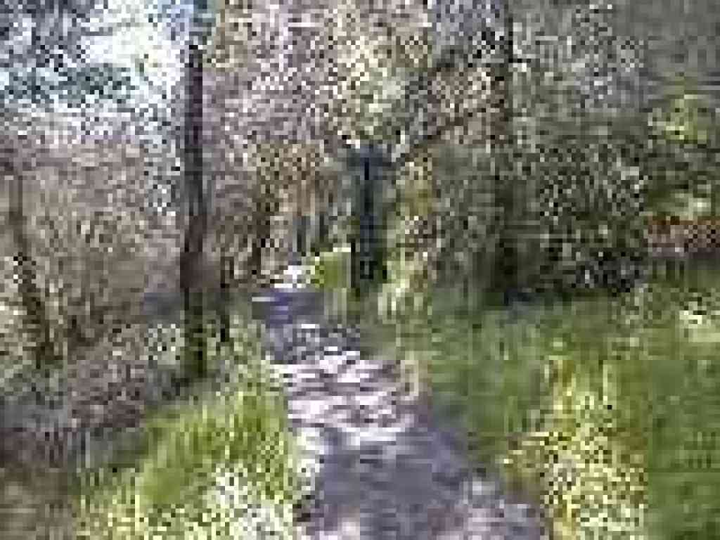 Sylvan Trail