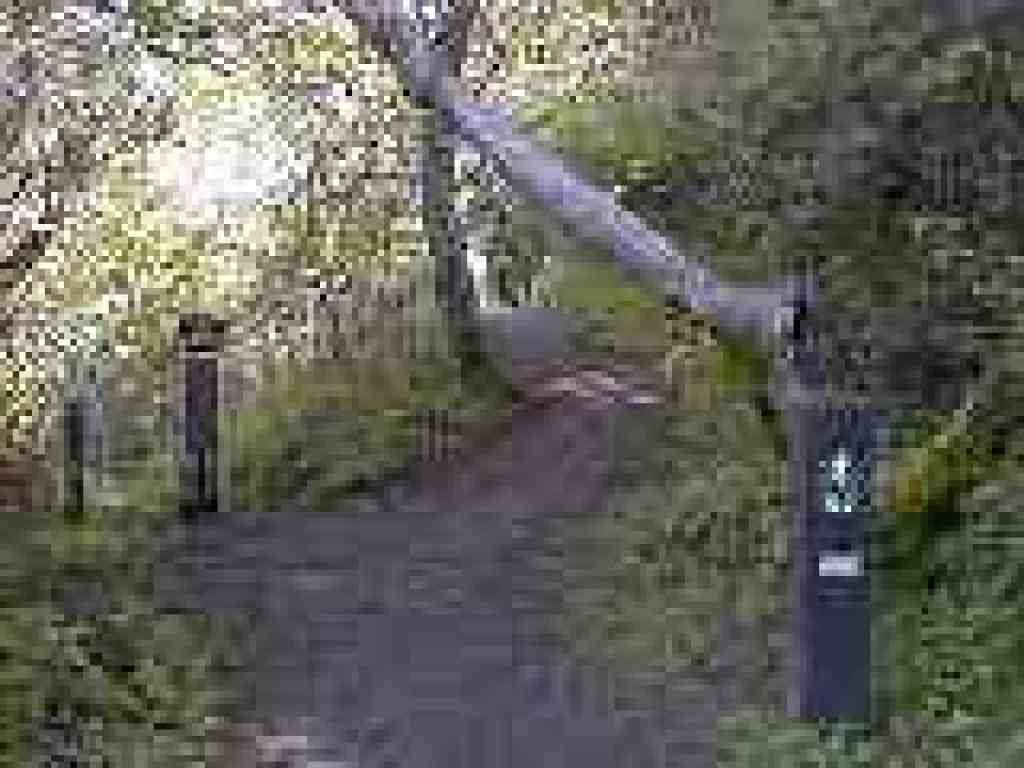 Junction with closed trail