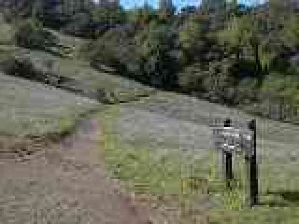 Serpentine Trail