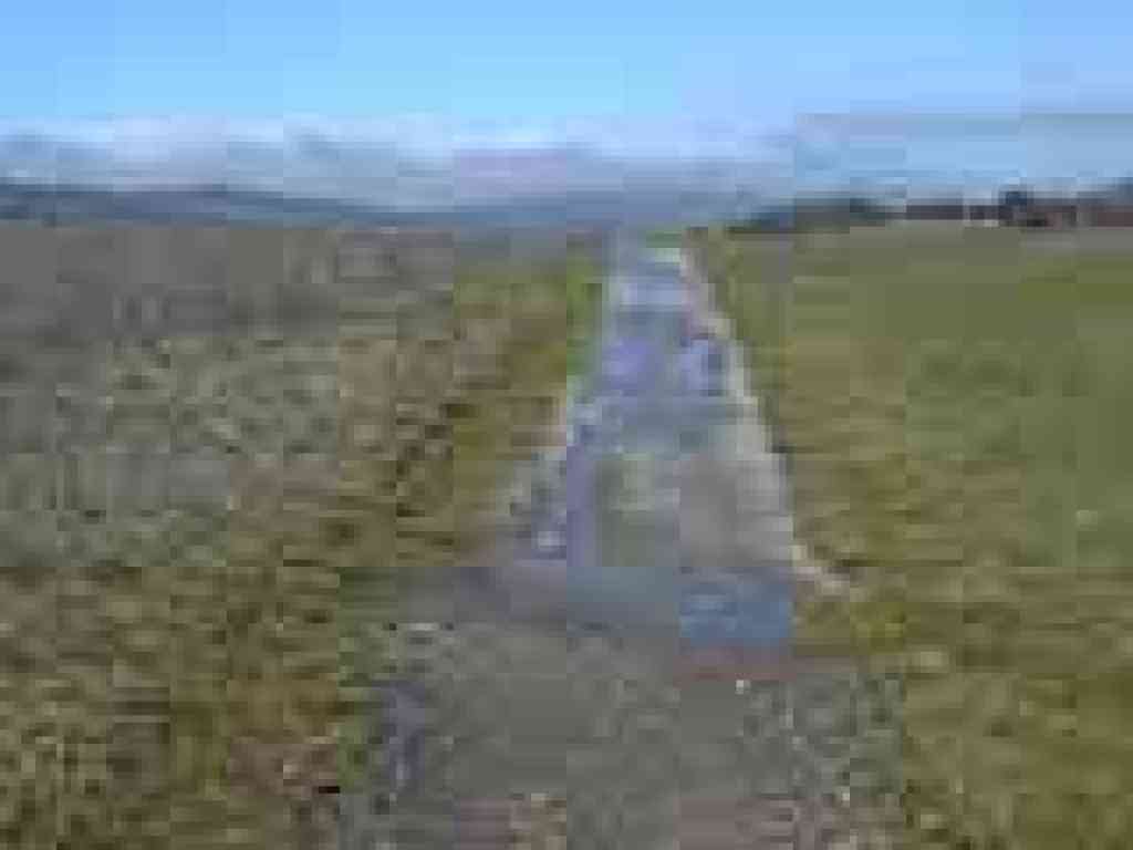 Path through grassland