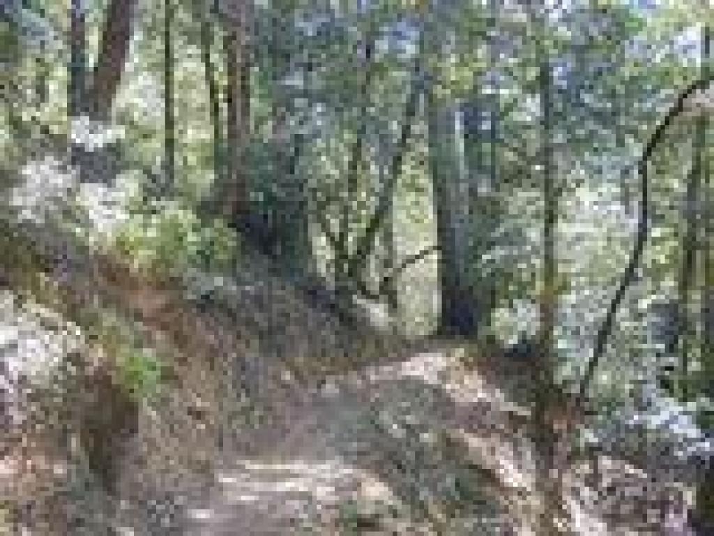 Resolution Trail