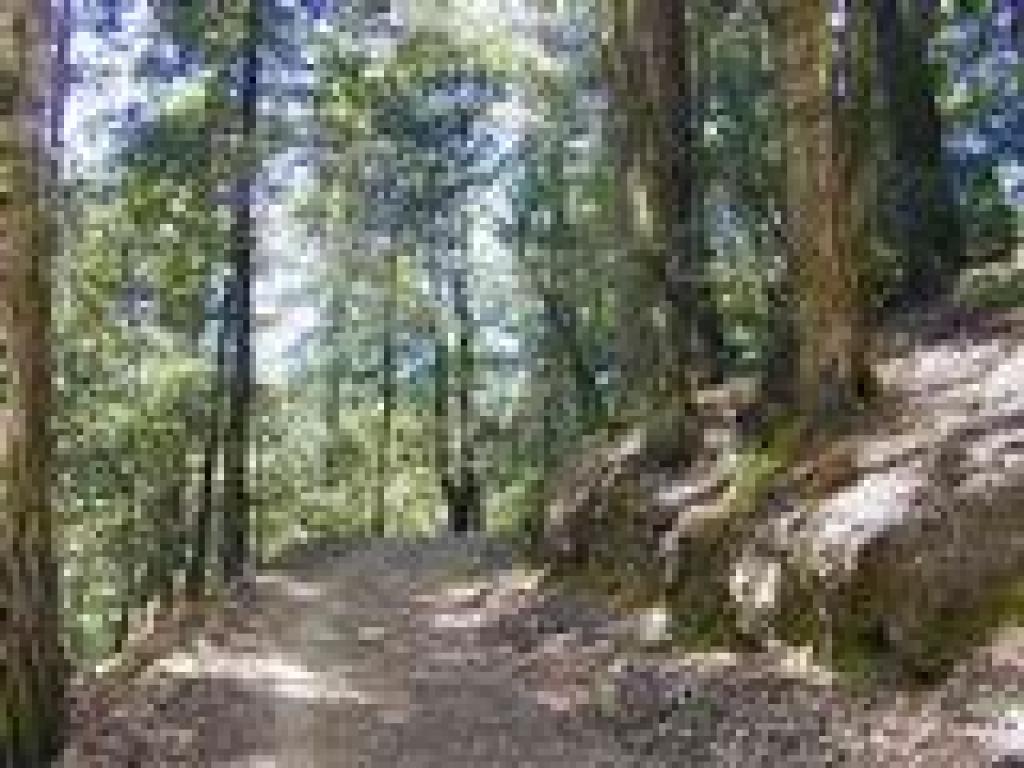 Tafoni Trail