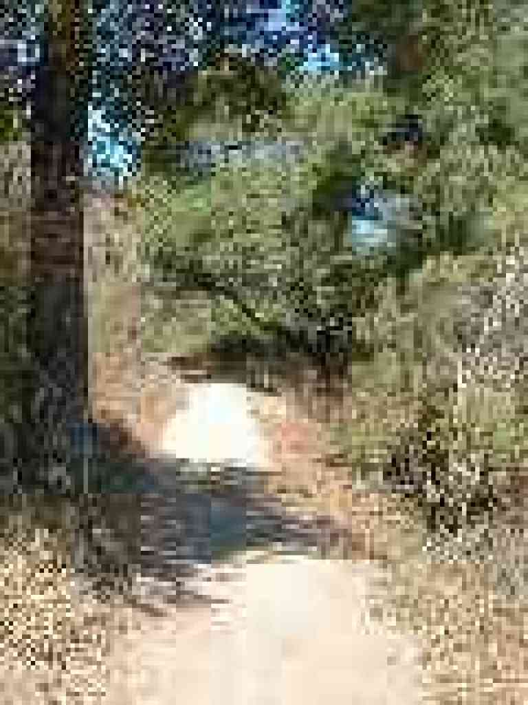 Cora Older Trail